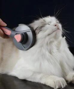 Pakeway T9 - Kattenborstel - Zelfreinigende Kattenkam - Roze - Massageborstel - 19,3 Cm -Hondenbenodigdheden 1005x1200