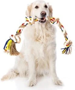 Nobleza Hondentouw - Speeltouw Hond - Flostouw Hond - Trektouw Hond - Lang - Geknoopt 12 Nobleza Hondentouw - Speeltouw Hond - Flostouw Hond - Trektouw Hond - Lang - Geknoopt -Hondenbenodigdheden 1008x1200 3