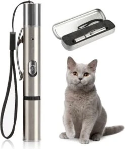 Merkloos Laserpen - USB Oplaadbaar - Kattenspeeltjes - Verschillende Standen - Zilver - Houder 7 Merkloos Laserpen - USB Oplaadbaar - Kattenspeeltjes - Verschillende Standen - Zilver - Houder -Hondenbenodigdheden 1009x1200 1