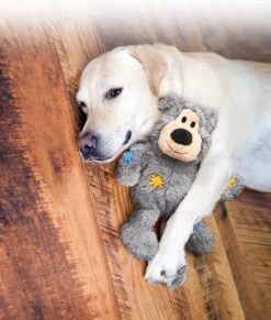 Kong Wild Knots Beer - Hondenspeelgoed - Assorti - M - 25 X 20 X 10 Cm 22 Kong Wild Knots Beer - Hondenspeelgoed - Assorti - M - 25 X 20 X 10 Cm -Hondenbenodigdheden 1017x1200 2