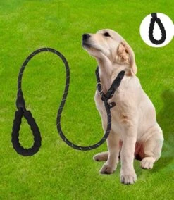 Nixnix - Honden Riem - 1,7cm - Zwart - 1,2cm Dik - Sliplijn - Nylon - Hondenriem - Verstelbaar - Jachtlijn Met Stop - Leiband -Hondenbenodigdheden 1042x1200