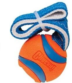 Chuckit! Chuckit Ultra Tug – Hondenspeelgoed - Blauw/Oranje – Large - ø 7 Cm 13 Chuckit! Chuckit Ultra Tug – Hondenspeelgoed - Blauw/Oranje – Large - ø 7 Cm -Hondenbenodigdheden 1042x1200 6
