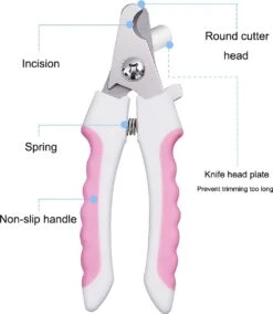 Merkloos Professionele Nagelschaar - Dieren Nagelschaar - Roze - Honden Nagelknipper - Hondennagels - Honden Knip Schaar - Honden Knipsch 10 Merkloos Professionele Nagelschaar - Dieren Nagelschaar - Roze - Honden Nagelknipper - Hondennagels - Honden Knip Schaar - Honden Knipsch -Hondenbenodigdheden 1043x1200