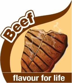 Nylabone Flexi Voor Honden Puppy Teething X Bone Beef Tot 11 Kg -Hondenbenodigdheden 1048x1200 2