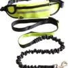 Hondenriem Hardloopriem Elastische Reflecterende Geschikt Voor Hardlopen - Handsfree Riem Met Opbergtasje – Hond Looplijn - Schokabsorberend - Groen -Hondenbenodigdheden 1052x1200