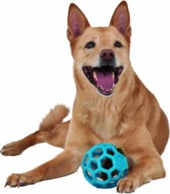 JW HOL-EE ROLLER – Hondenbal Rubber – 15 Cm - Large - 1 Stuk -Hondenbenodigdheden 1053x1200 7