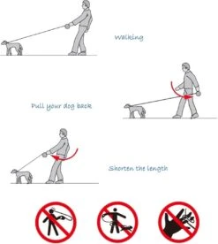 IGOODS - Uitlaatriem - Honden Riem - Katten Riem - Uitlaatriem Voor Dieren Rollijn - Hondenriem - 5 Meter Lang - Grijs -Hondenbenodigdheden 1072x1200 1