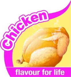 Nylabone Harde Bijters Kluif - Kip - Voor Honden Tot 15 Kg -Hondenbenodigdheden 1102x1200 3