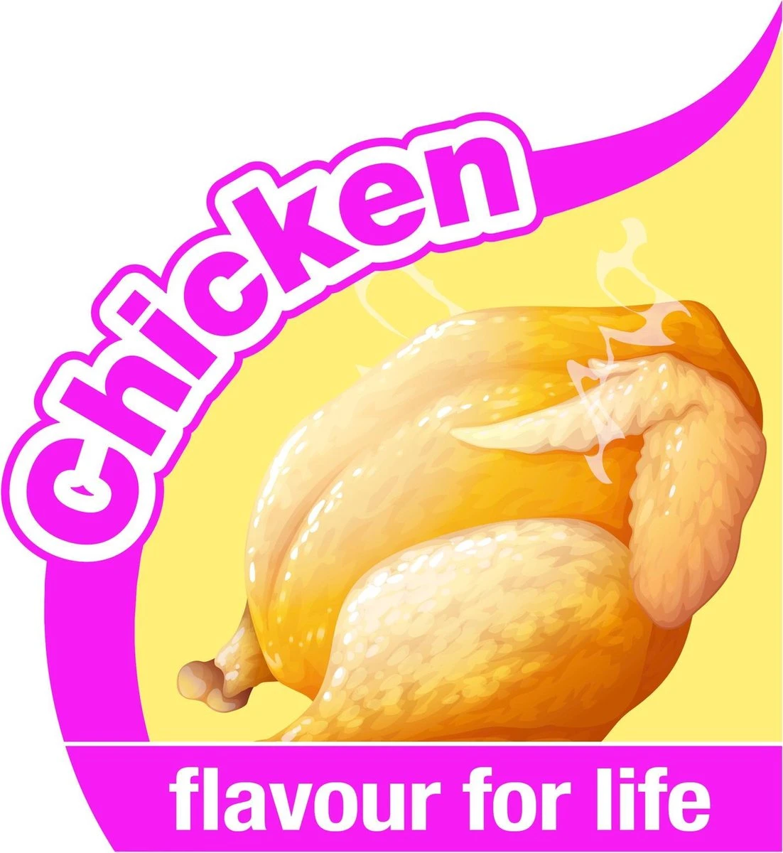 Nylabone Harde Bijters Kluif - Kip - Voor Honden Tot 30 Kg 10 Nylabone Harde Bijters Kluif - Kip - Voor Honden Tot 30 Kg - Afbeelding 8