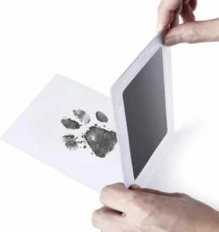 PrintMe - Paw Print Pad - Groter Formaat - Pootafdruk Maken Van Hond Of Kat - Zeer Gemakkelijk - Verbeterd Formaat! - Geen Inkt Op De Poot Van Uw Huisdier- Groot - Leuk Als Cadeau! -Hondenbenodigdheden 1133x1200 3
