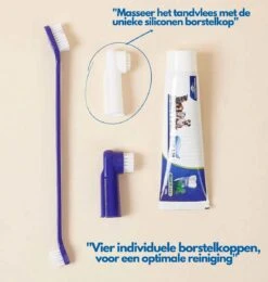 Hond En Kat Tandenborstel Verzorgingsset - Inclusief Tandpasta Met Beefsmaak - Vier Unieke Reinigingsborstels - Fluoride Vrij -Hondenbenodigdheden 1142x1200 2