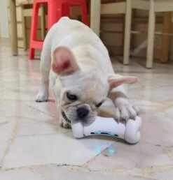 Cheerble Wickedbone|Automatisch Hondenspeeltje|Interactief En Intelligent Speelgoed Voor Honden|App & Bluetooth Bestuurbaar|USB Oplaadbaar -Hondenbenodigdheden 1147x1200 8