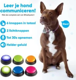 BFreshPets Praatknop Voor Honden - 6 Stuks - Dogbuttons - Hondenspeelgoed - Honden Training - Laat Uw Huisdier Spreken -Hondenbenodigdheden 1151x1200 9
