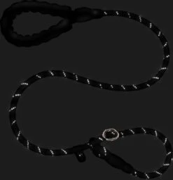 Nixnix - Honden Riem - 1,7cm - Zwart - 1,2cm Dik - Sliplijn - Nylon - Hondenriem - Verstelbaar - Jachtlijn Met Stop - Leiband -Hondenbenodigdheden 1154x1200