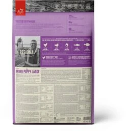 Orijen Puppy Large Breed 27 Orijen Puppy Large Breed -Hondenbenodigdheden 1156x1200 5