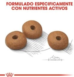 Royal Canin Light Weight Care Medium - Hondenvoer - 12 Kg 21 Royal Canin Light Weight Care Medium - Hondenvoer - 12 Kg -Hondenbenodigdheden 1158x1200 5