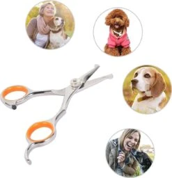Merkloos Premium Gebogen Trimschaar Honden - Huisdier Trimmen - Hoofd, Poten Ogen & Oren - Kat & Hond Knippen - Veilige Schaar 16 Merkloos Premium Gebogen Trimschaar Honden - Huisdier Trimmen - Hoofd, Poten Ogen & Oren - Kat & Hond Knippen - Veilige Schaar -Hondenbenodigdheden 1159x1200 1