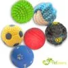 Petloverz Ballen Set - Honden Speelgoed - Intelligentie - Ballen - 6 Stuks 1 Petloverz Ballen Set - Honden Speelgoed - Intelligentie - Ballen - 6 Stuks -Hondenbenodigdheden 1161x1200 12