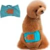 Merkloos Hondenluier Voor Kleine Hond - Luier Voor Reu - Buikband Maat S 27 Cm X 25 Cm -Hondenbenodigdheden 1164x1200 2