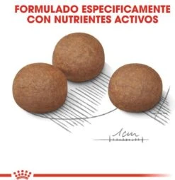 Royal Canin Digestive Care Maxi - Hondenvoer - 12 Kg -Hondenbenodigdheden 1168x1200 8