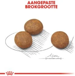 Royal Canin Maxi Junior - Hondenvoer - 10 Kg 12 Royal Canin Maxi Junior - Hondenvoer - 10 Kg -Hondenbenodigdheden 1170x1200 6