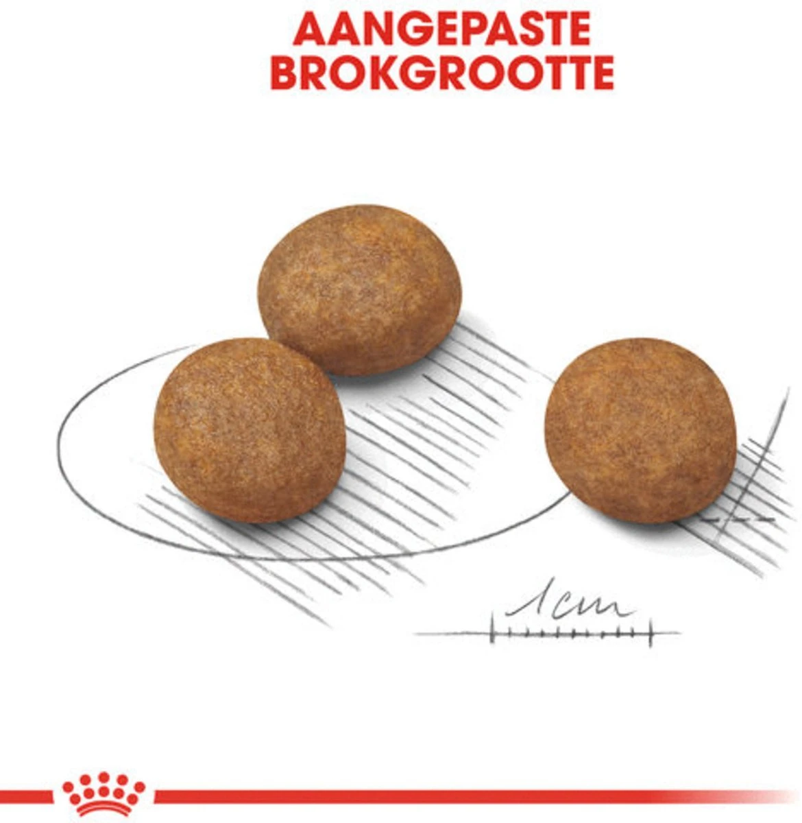 Royal Canin Maxi Junior - Hondenvoer - 10 Kg 5 Royal Canin Maxi Junior - Hondenvoer - 10 Kg - Afbeelding 3