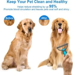 Igoods Professionele 2-Zijdige Ondervacht Kam Voor Hond En Kat - Hondenborstel – Kattenborstel -Hondenbenodigdheden 1172x1200 2