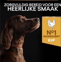 Pro Plan Everyday Nutrition Large Athletic Adult - Honden Droogvoer - Kip - 14 Kg 26 Pro Plan Everyday Nutrition Large Athletic Adult - Honden Droogvoer - Kip - 14 Kg -Hondenbenodigdheden 1172x1200 3
