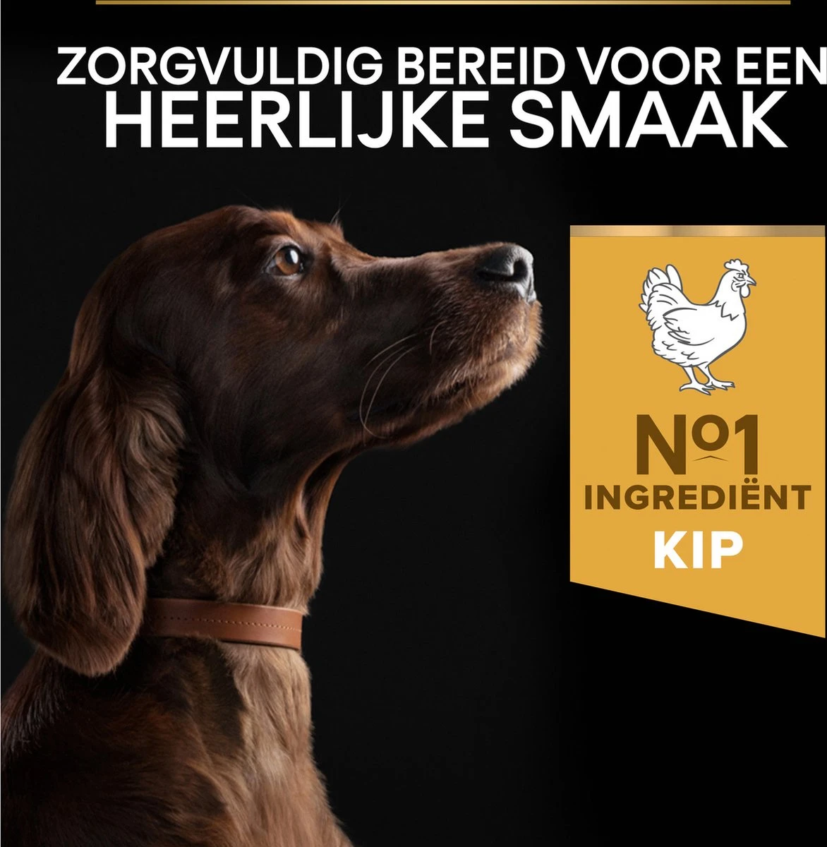 Pro Plan Everyday Nutrition Large Athletic Adult - Honden Droogvoer - Kip - 14 Kg 12 Pro Plan Everyday Nutrition Large Athletic Adult - Honden Droogvoer - Kip - 14 Kg - Afbeelding 10