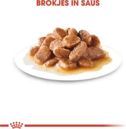 Royal Canin Shn Mini Ageing 12plus Pouch - Hondenvoer - 12x85 G -Hondenbenodigdheden 1177x1200 5