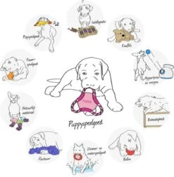 Trixie Dogtoy Dog Activity Strategy Game Gamble Box - Piepend Speelgoed - 15cm X 15cm X 9cm - Zwart/rood/oranje -Hondenbenodigdheden 1178x1200 12