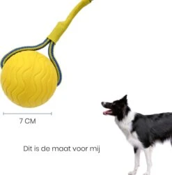 Leashr Honden Speelgoed - Bal Aan Touw - 2 Stuks - Touw - Koord - Kauwspeelgoed - Apporteer - Hond - 7 CM -Hondenbenodigdheden 1180x1200 13