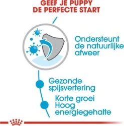 Royal Canin Shn Medium Puppy Pouch - Hondenvoer - 10 X 140 G 33 Royal Canin Shn Medium Puppy Pouch - Hondenvoer - 10 X 140 G -Hondenbenodigdheden 1184x1200 3