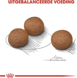 Royal Canin Digestive Care Medium - Hondenvoer - 12 Kg 13 Royal Canin Digestive Care Medium - Hondenvoer - 12 Kg -Hondenbenodigdheden 1186x1200 8