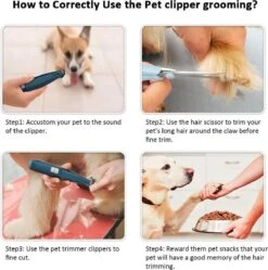 Buxibo Professionele Dieren Tondeuse Set - Tondeuse + Schaar - Voor Huisdieren Honden & Katten - Draadloos - Oplaadbare Pet Trimmer - Precieze Clipper - Low Noise 17 Buxibo Professionele Dieren Tondeuse Set - Tondeuse + Schaar - Voor Huisdieren Honden & Katten - Draadloos - Oplaadbare Pet Trimmer - Precieze Clipper - Low Noise -Hondenbenodigdheden 1188x1200 3