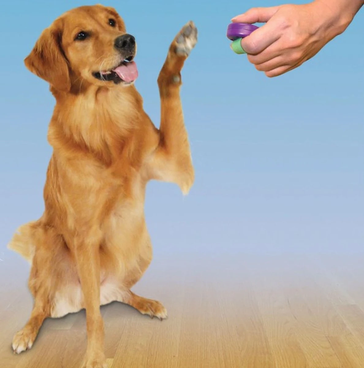 Petsafe Clicker Voor Training 4 Petsafe Clicker Voor Training - Afbeelding 2