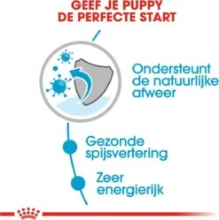 Royal Canin Shn Mini Puppy Pouch - Hondennatvoer - 12 X 85 G 22 Royal Canin Shn Mini Puppy Pouch - Hondennatvoer - 12 X 85 G -Hondenbenodigdheden 1188x1200 6