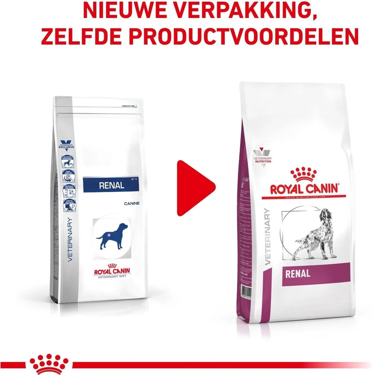 Royal Canin Renal - Hondenvoer - 2 Kg 4 Royal Canin Renal - Hondenvoer - 2 Kg - Afbeelding 2