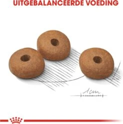 Royal Canin Light Weight Care Medium - Hondenvoer - 12 Kg 16 Royal Canin Light Weight Care Medium - Hondenvoer - 12 Kg -Hondenbenodigdheden 1191x1200 6