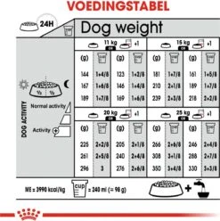 Royal Canin Digestive Care Medium - Hondenvoer - 12 Kg 18 Royal Canin Digestive Care Medium - Hondenvoer - 12 Kg -Hondenbenodigdheden 1193x1200 6