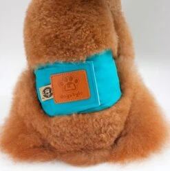 Merkloos Hondenluier Voor Kleine Hond - Luier Voor Reu - Buikband Maat S 27 Cm X 25 Cm -Hondenbenodigdheden 1194x1200 7