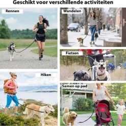 Filo Elastische Hondenriem Middel - Hardlopen En Wandelen - Hardloopriem Hond Handsfree Met Heuptasje - Looplijn Met Heupriem - Canicross Gordel Honden - Riemen - Heupgordel - Leiband -Hondenbenodigdheden 1198x1200 1