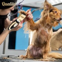 Merkloos Professionele Honden Tondeuse Set - Tondeuse Voor Huisdier Honden En Katten - Hondentrimmer - Hondentondeuse 15 Merkloos Professionele Honden Tondeuse Set - Tondeuse Voor Huisdier Honden En Katten - Hondentrimmer - Hondentondeuse -Hondenbenodigdheden 1198x1200 11