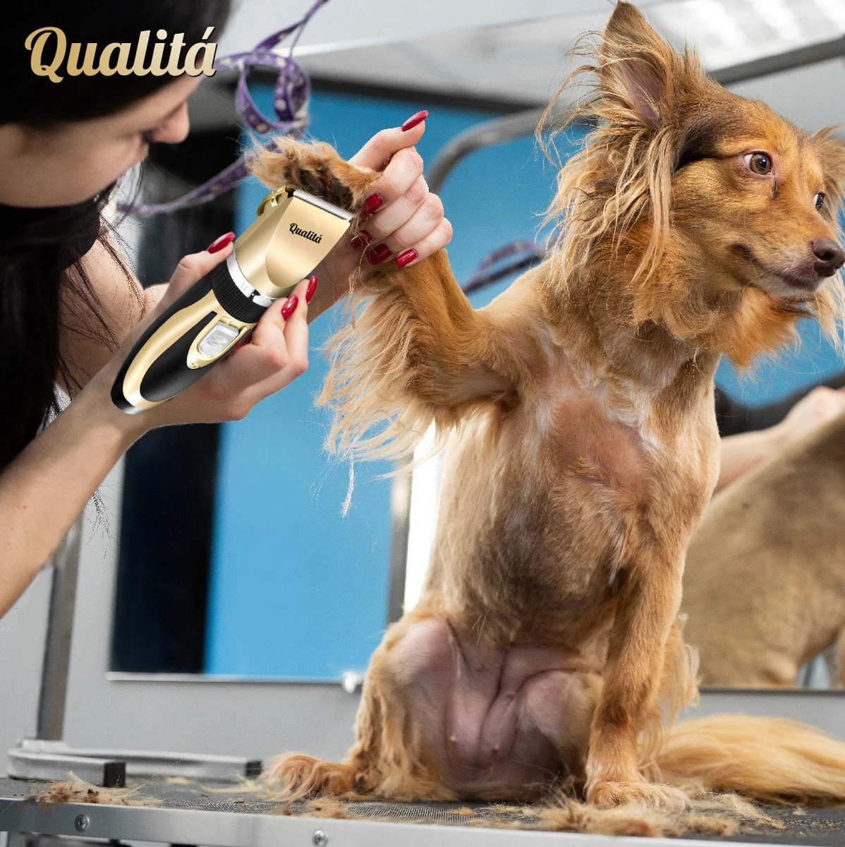 Merkloos Professionele Honden Tondeuse Set - Tondeuse Voor Huisdier Honden En Katten - Hondentrimmer - Hondentondeuse 6 Merkloos Professionele Honden Tondeuse Set - Tondeuse Voor Huisdier Honden En Katten - Hondentrimmer - Hondentondeuse - Afbeelding 4