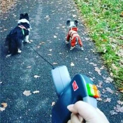 Wigzi Dual Doggie 2.0 Voor Twee Honden - Hondenriem - Grijs - 3m - <22 Kg (per Hond) 19 Wigzi Dual Doggie 2.0 Voor Twee Honden - Hondenriem - Grijs - 3m - <22 Kg (per Hond) -Hondenbenodigdheden 1198x1200