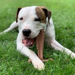 Spot Bam-Bones Plus Easy Grip - Veilig Kauwbot Voor Honden - Speciaal Voor Sterke Kauwers - Verzorgt Het Gebit Van De Hond - Rund Of Kip - S/M/L - Maat: Large, Smaak: Kip -Hondenbenodigdheden 1198x1200 33