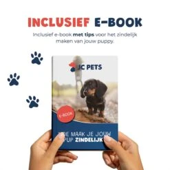 JC Pets Premium Pad Houder Met Rooster - Inclusief 20 Puppy Training Pads - Hondentoilet - Zindelijkheidstraining Hond 23 JC Pets Premium Pad Houder Met Rooster - Inclusief 20 Puppy Training Pads - Hondentoilet - Zindelijkheidstraining Hond -Hondenbenodigdheden 1199x1200 10