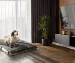 PrimePlus Hondenkussen XL Antraciet - 120x80x10 CM - Zacht En Luxe Hondenmand - Hondenbed - Hondenmat - Orthopedisch Hondenkussens 19 PrimePlus Hondenkussen XL Antraciet - 120x80x10 CM - Zacht En Luxe Hondenmand - Hondenbed - Hondenmat - Orthopedisch Hondenkussens -Hondenbenodigdheden 1200x1000 10