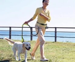 Canicross Looplijn Hond Met Heupriem Voor Hardlopen - Elastische Handsfree Hondenriem - Honden Trainingslijn - 150/210cm - Zwart -Hondenbenodigdheden 1200x1000 5