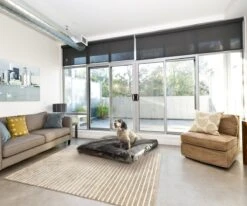 PrimePlus Hondenkussen XL Antraciet - 120x80x10 CM - Zacht En Luxe Hondenmand - Hondenbed - Hondenmat - Orthopedisch Hondenkussens 18 PrimePlus Hondenkussen XL Antraciet - 120x80x10 CM - Zacht En Luxe Hondenmand - Hondenbed - Hondenmat - Orthopedisch Hondenkussens -Hondenbenodigdheden 1200x1000 9